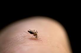 Mosquito Block - effetti collaterali - controindicazioni